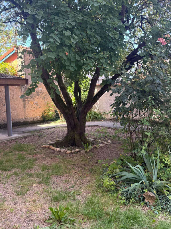 Appartement à BOURG-EN-BRESSE