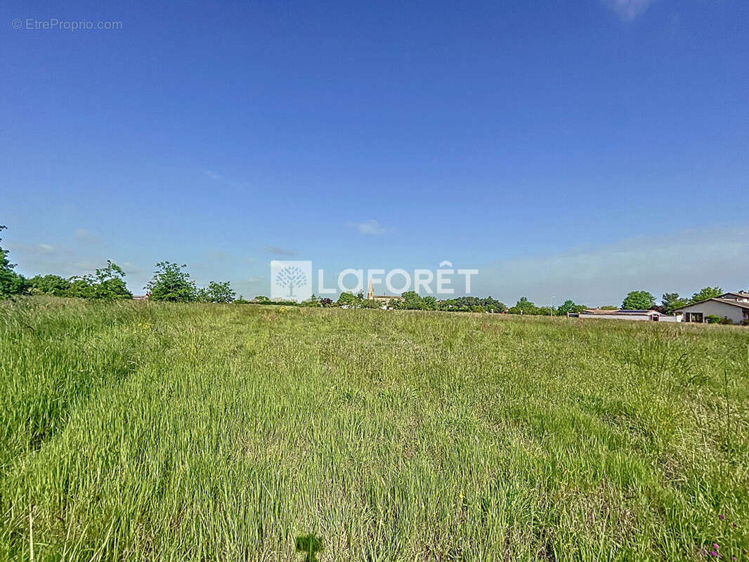 Terrain constructible environ 3176 m2 - Garganvillar - photo 2