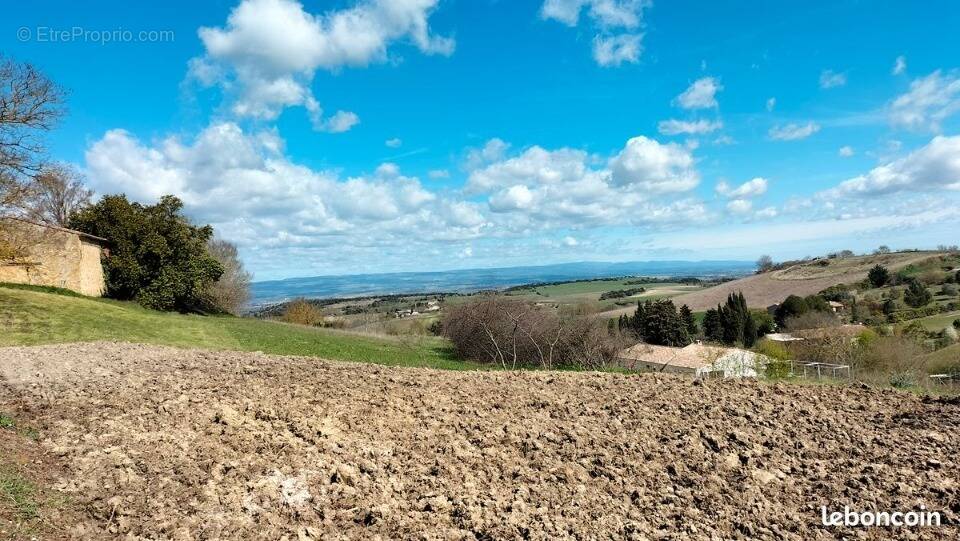Terrain à LAURAC