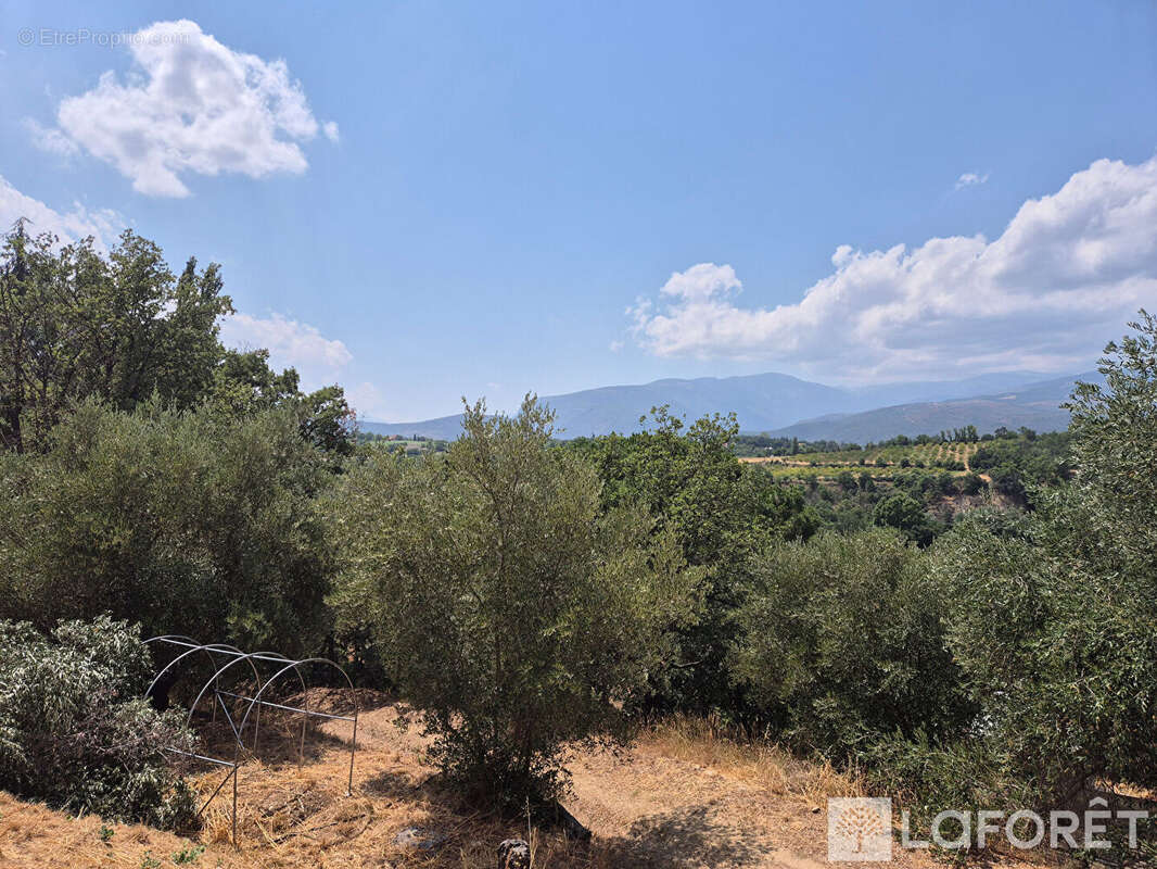 Maison Los Masos sur terrain de 4300m2 - photo 16