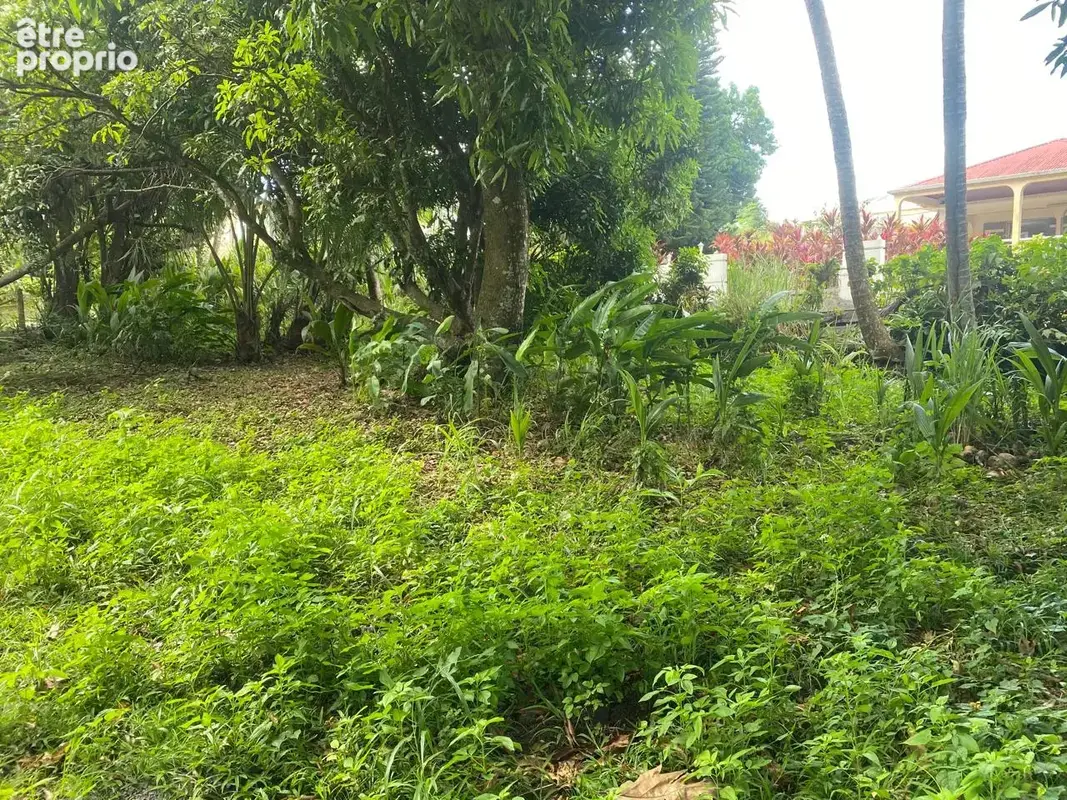 Vente terrain dans le quartier de monnier dans la commune du lamentin; - photo 3
