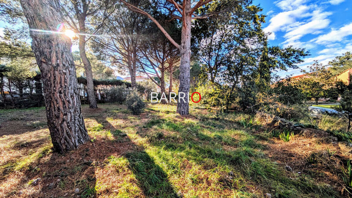 Terrain à LAROQUE-DES-ALBERES