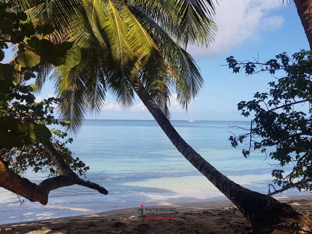 Studio Marie Galante piscine et accès plage - photo 10