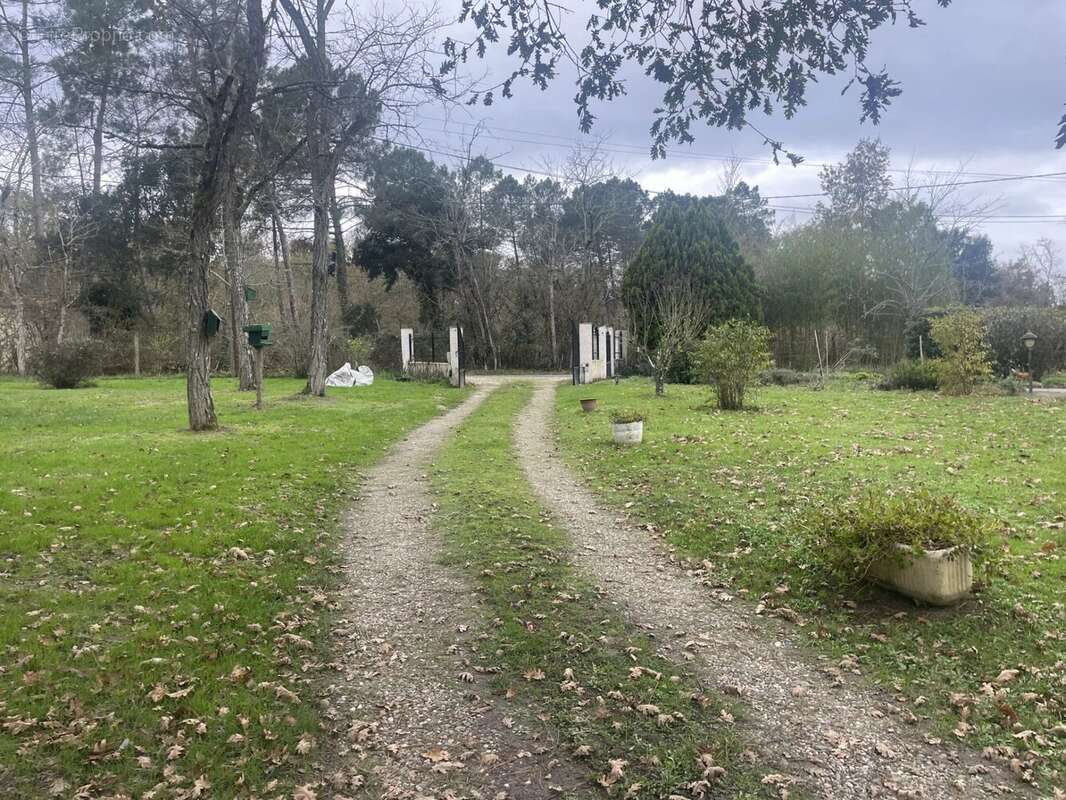 MAISON LANDAISE sur un parc arboré de 6200m2 avec sa piscine - photo 17