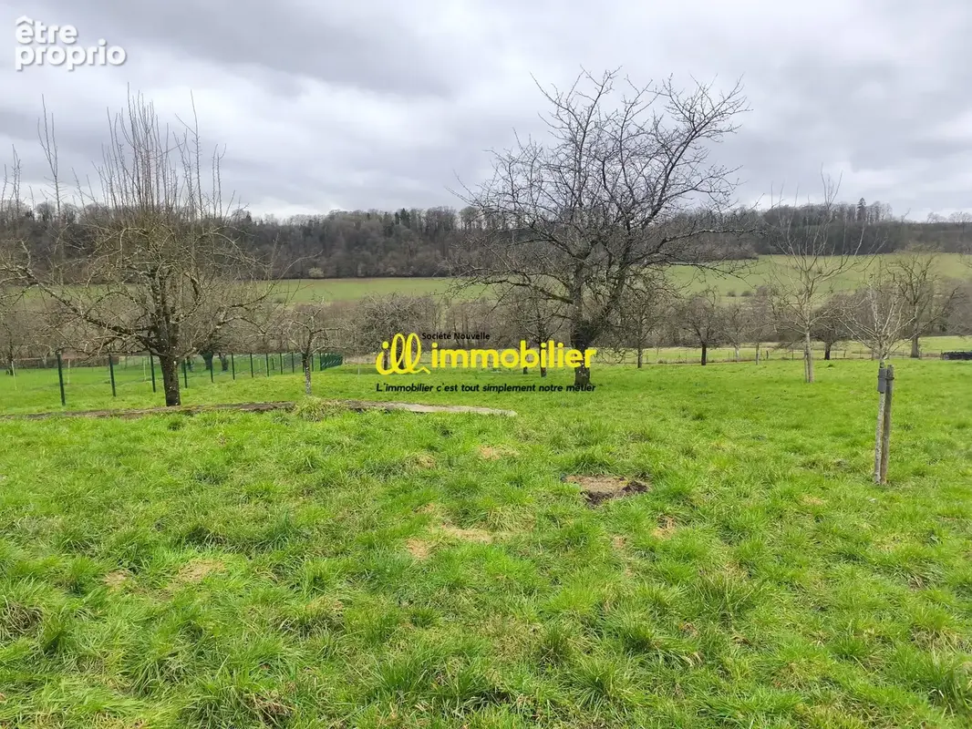 Terrain 3 220 m² à vendre à Francheval (08140) - photo 4