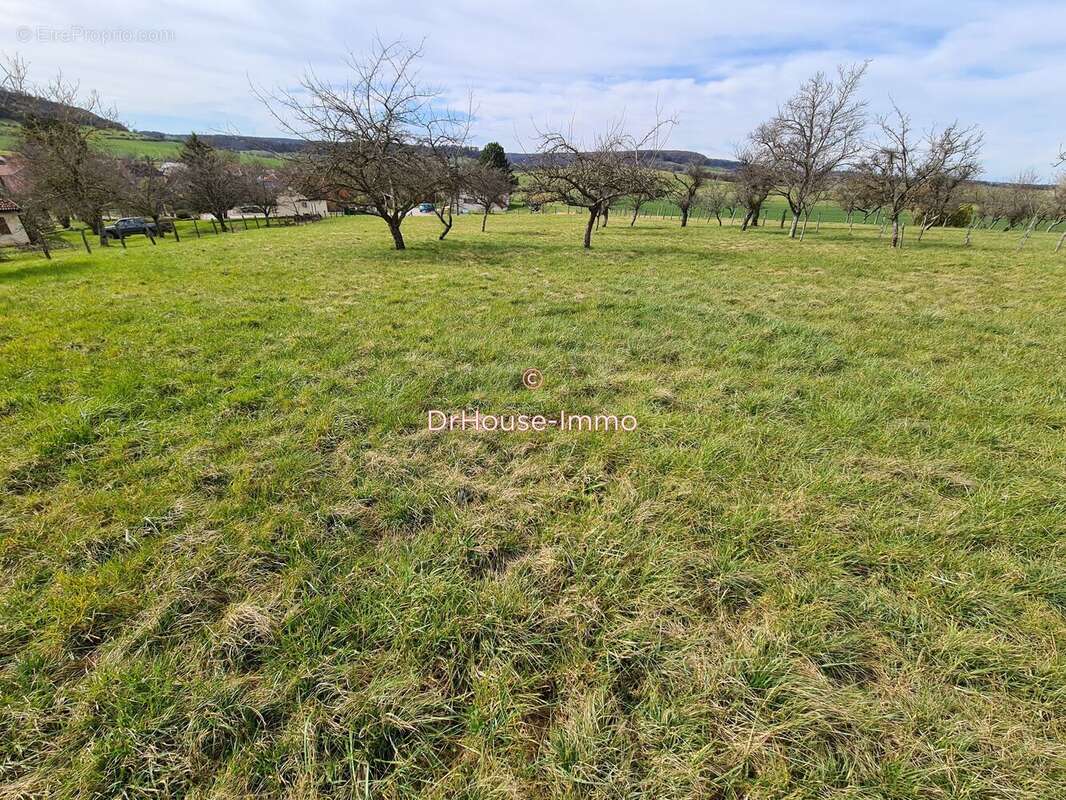 Terrain à MESANDANS