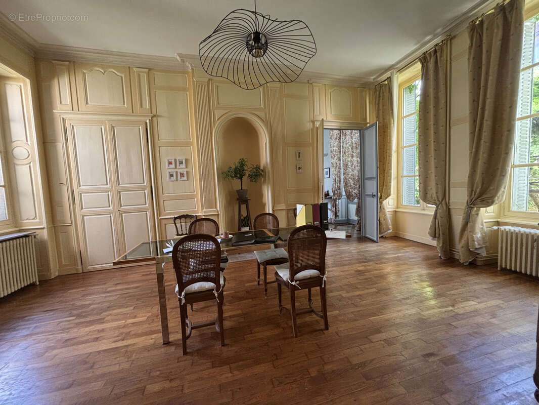 Belle demeure au centre ville de chatillon sur seine (21) avec cour - espace de nature - photo 9
