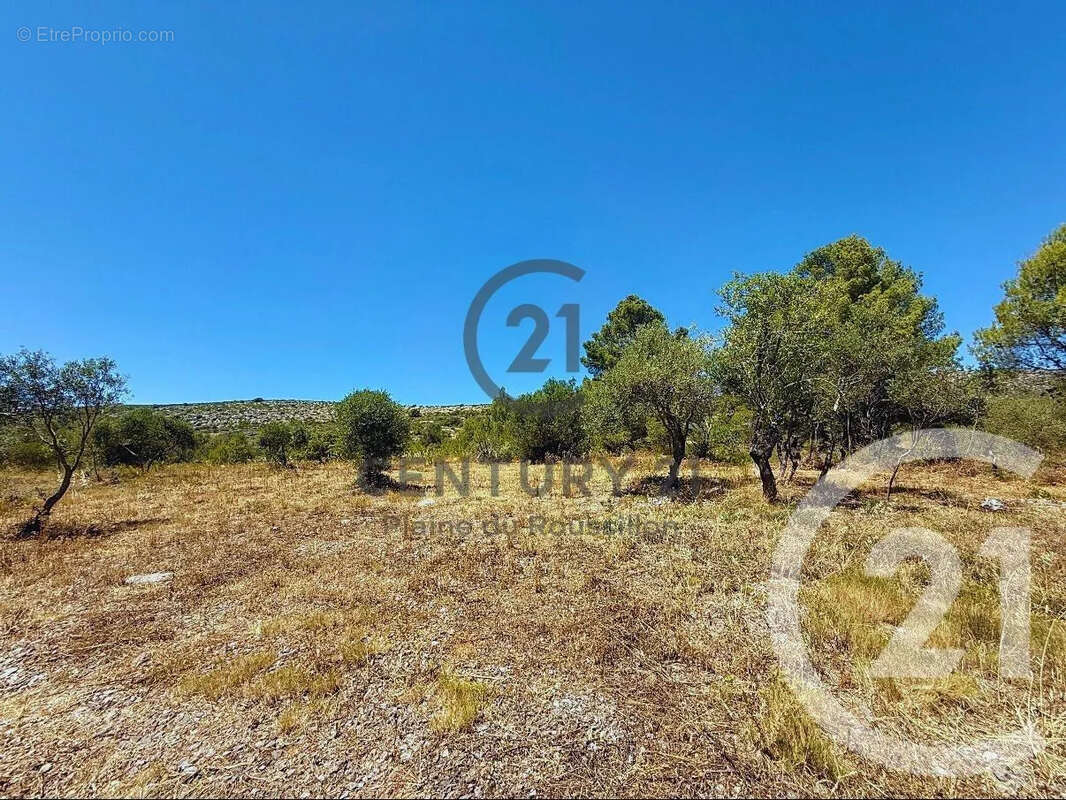 Terrain à OPOUL-PERILLOS