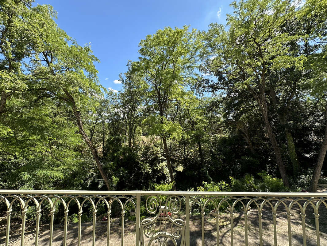 Bastide carcassonne - photo 6