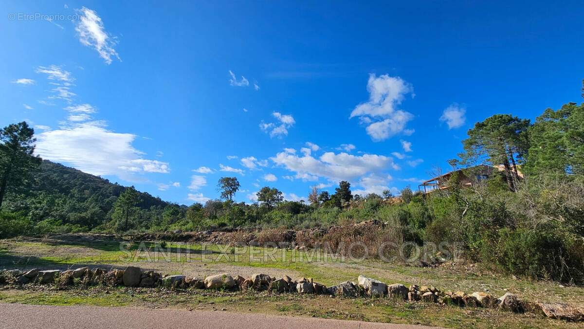 Terrain à SARI-SOLENZARA