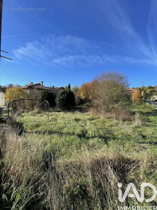 Photo 5 - Maison à NEUVILLE-SUR-AIN