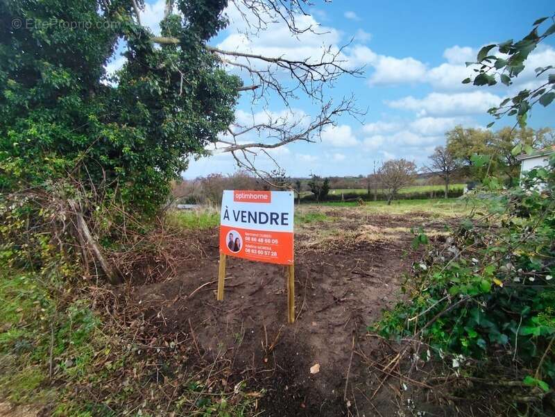 Terrain à GLAINE-MONTAIGUT