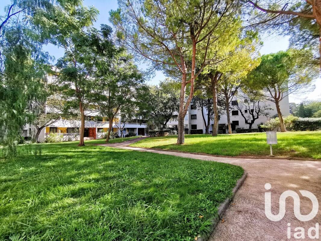Photo 1 - Appartement à MONTPELLIER