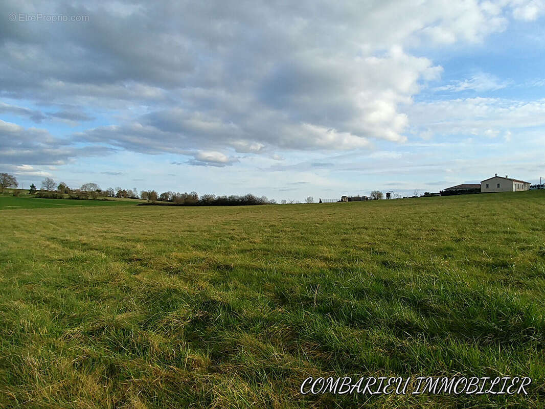 RARE Terrain Caussade 1ha 3311 m2 - photo 2