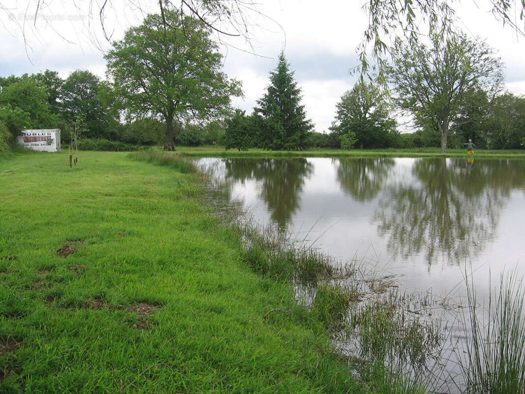 Terrain à MILLAC