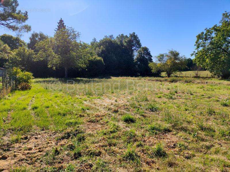 Maison à SAUZE-VAUSSAIS