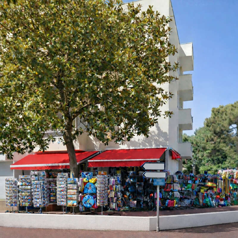 Commerce à LES MATHES