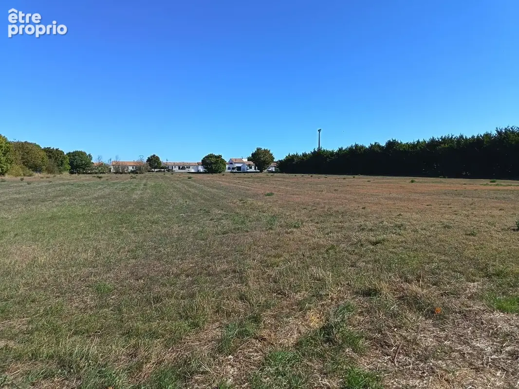 Photo Terrain à Longeves au prix de 78 000€