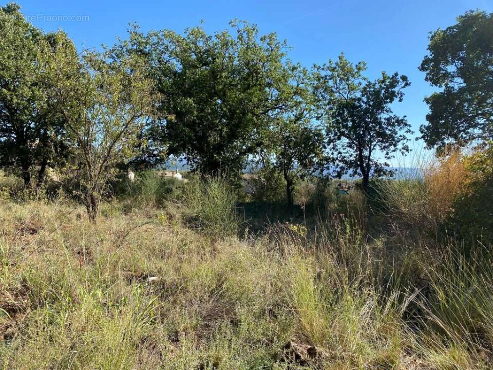 Terrain à PUGET-VILLE