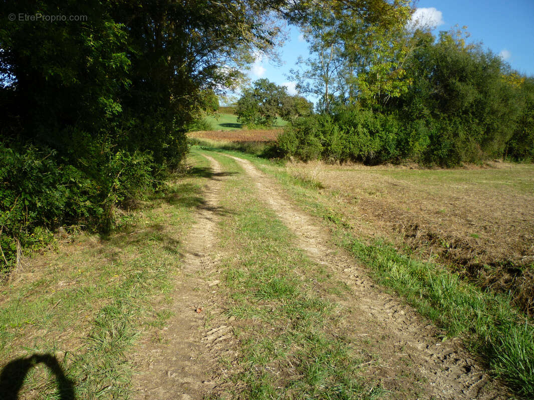 Terrain de loisir - photo 6
