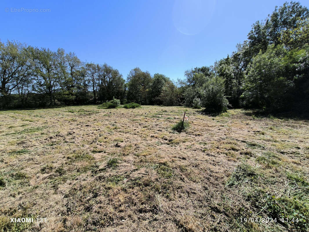 Terrain à POLASTRON