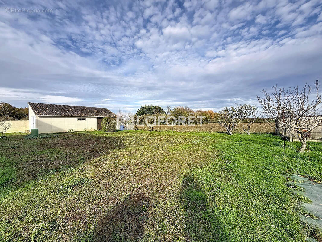 Maison à DOUE-LA-FONTAINE