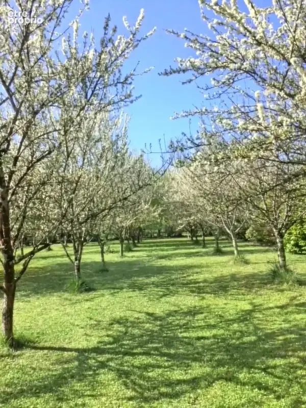Propriété du 19e - deux logements indépendants - piscine et terrain de 1,1 ha – estuaire de la gironde. - photo 30