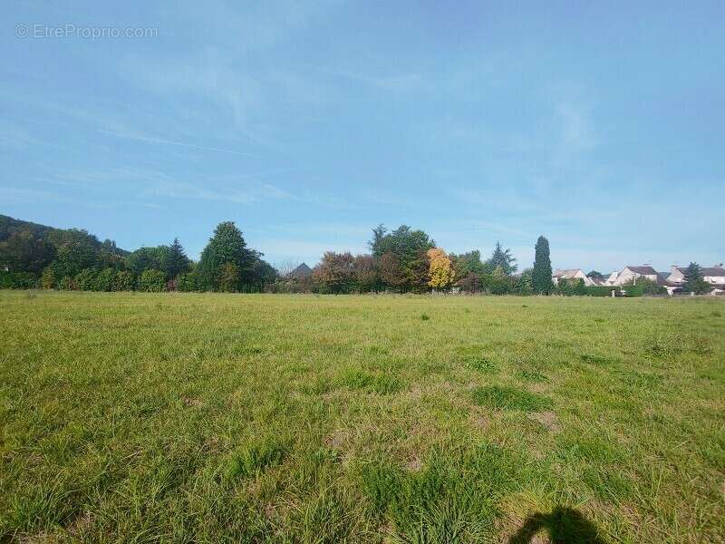 Terrain 7432 m² à Pazayac  - photo 18