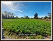 Terrain à MOMERES