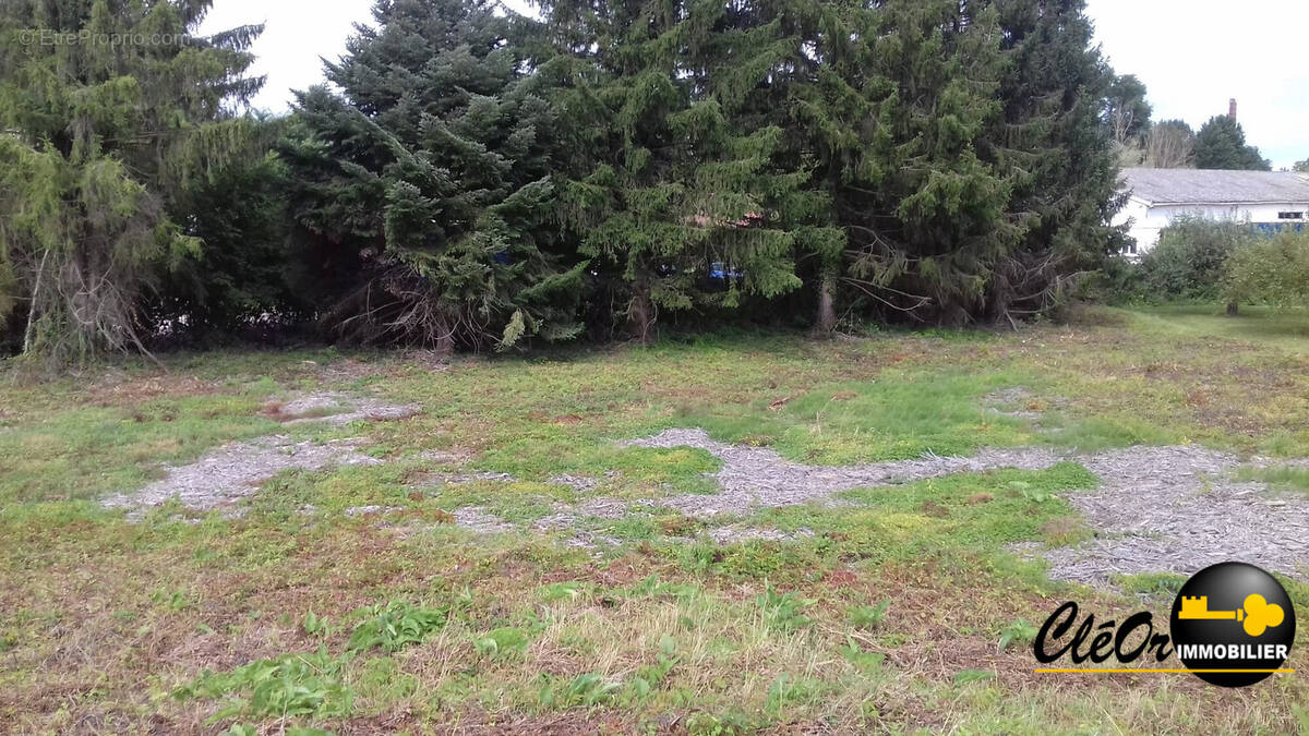 Terrain 2200 m² à Pouilly-Sur-Saone  - photo 3