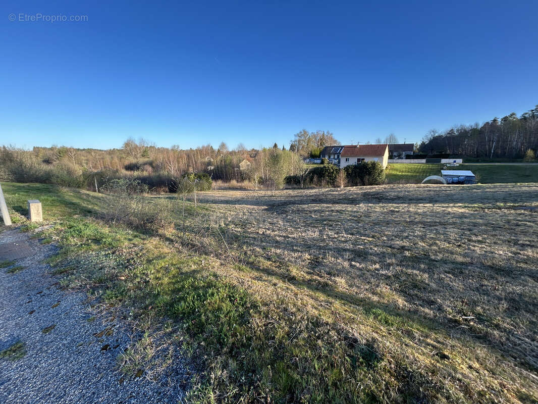 Terrain à SAINT-PRIEST-DE-GIMEL