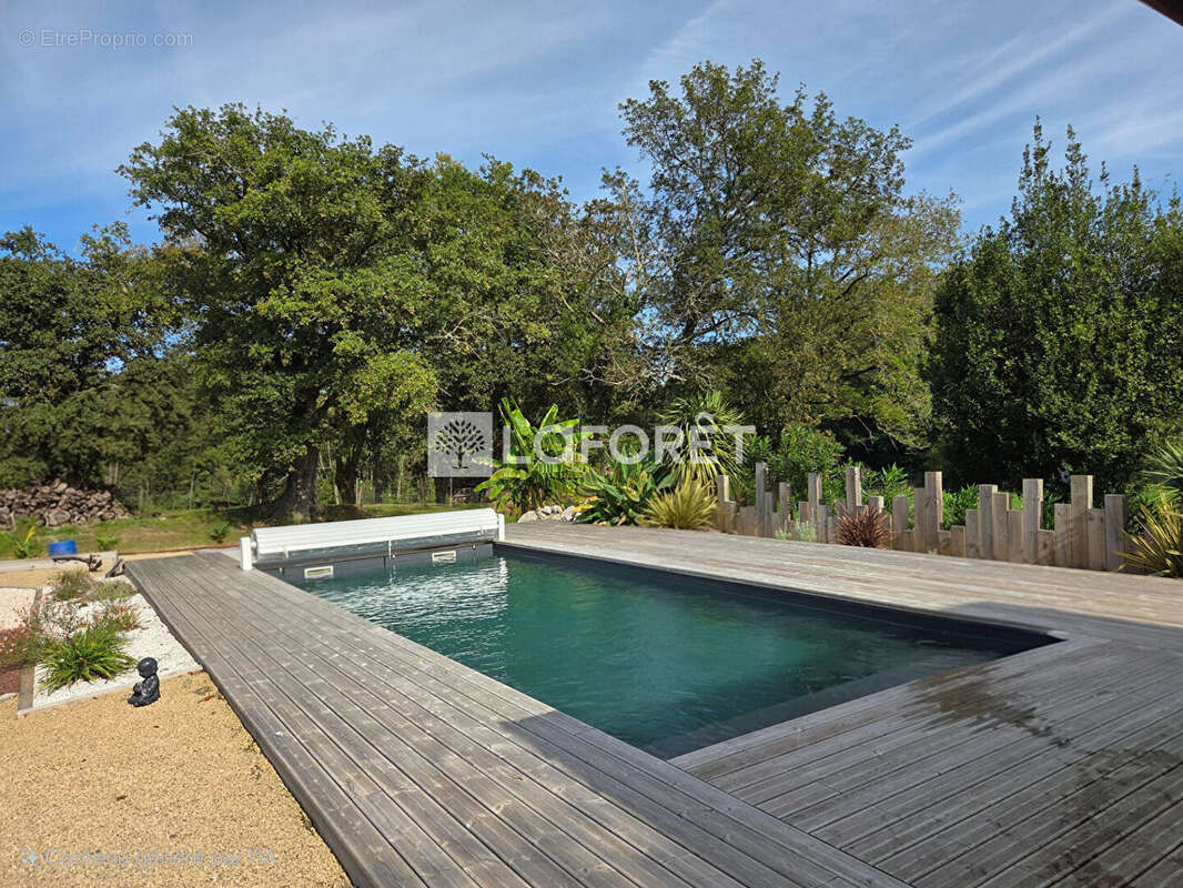 Maison à SAINT-JEAN-DE-MARSACQ