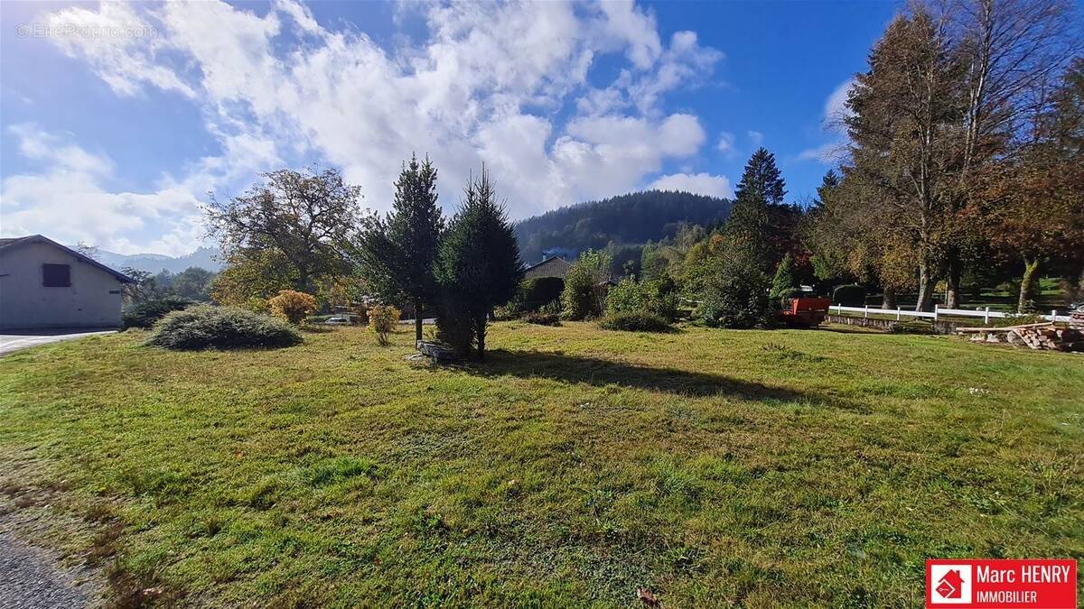 Terrain à LE THOLY