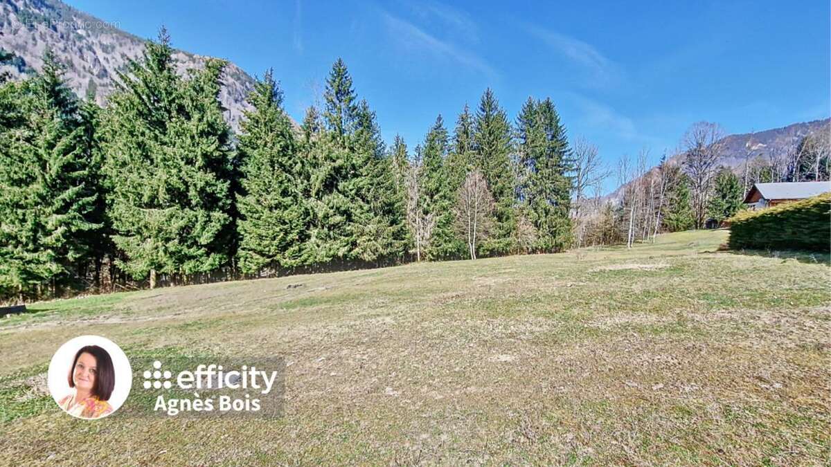Terrain à LE PETIT-BORNAND-LES-GLIERES