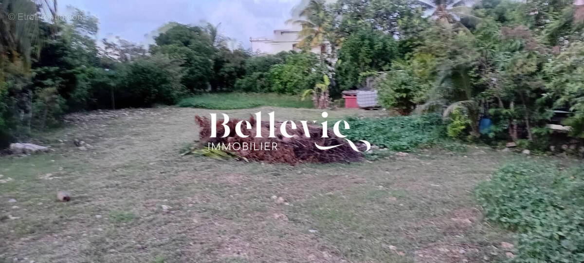 Terrain à ANSE-BERTRAND