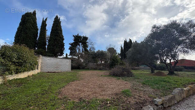 Terrain à SATURARGUES