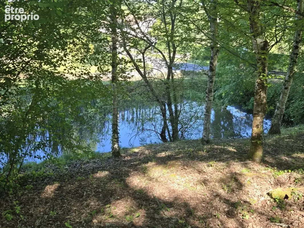 Très beau cadre de vie! - photo 21