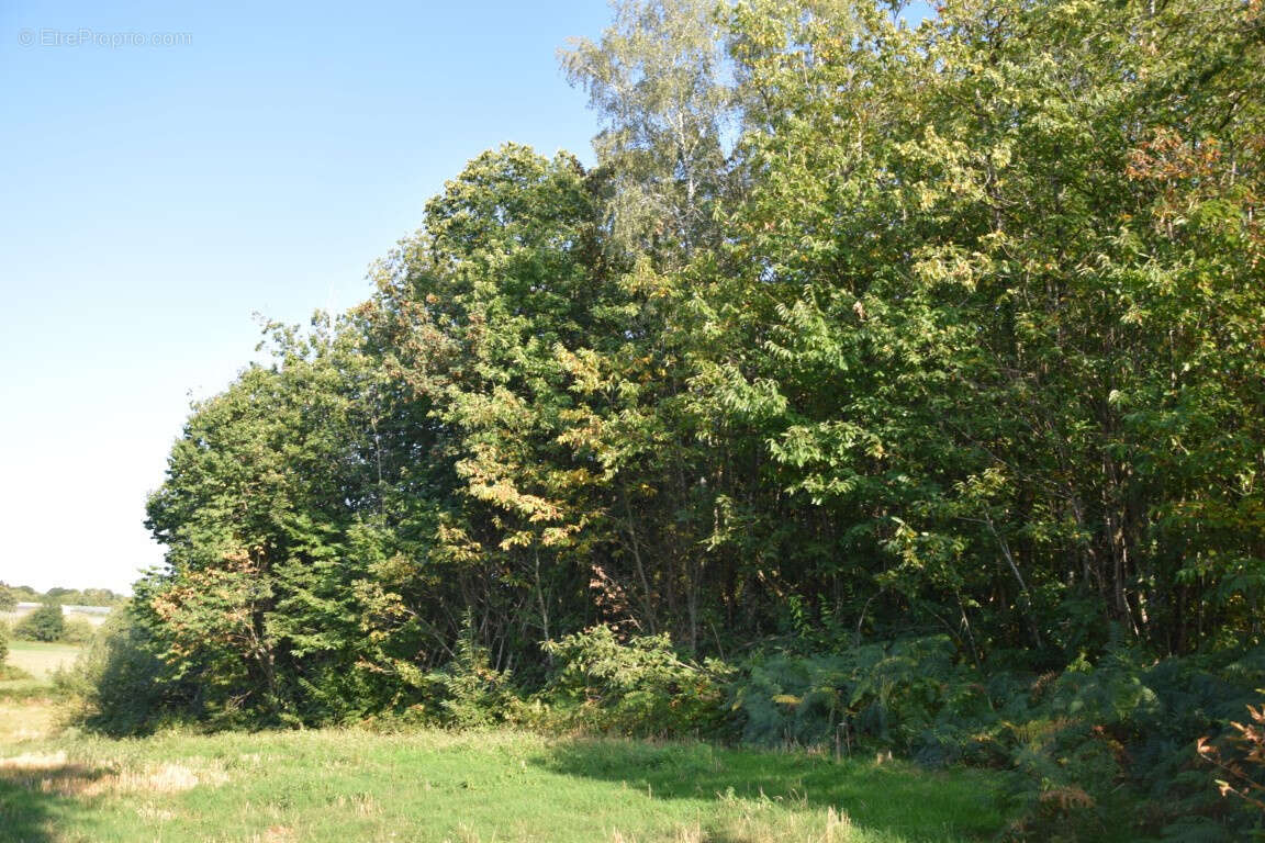Terrain à SAINT-SORNIN-LAVOLPS
