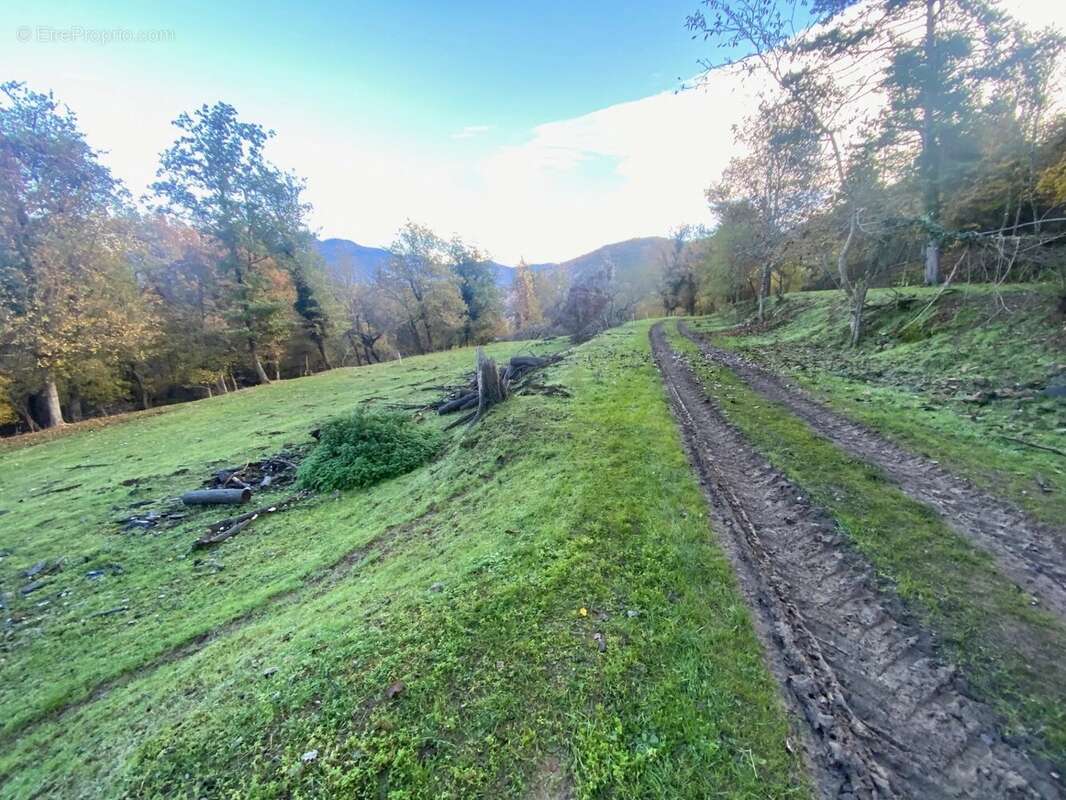 Terrain à MALAUSSENE