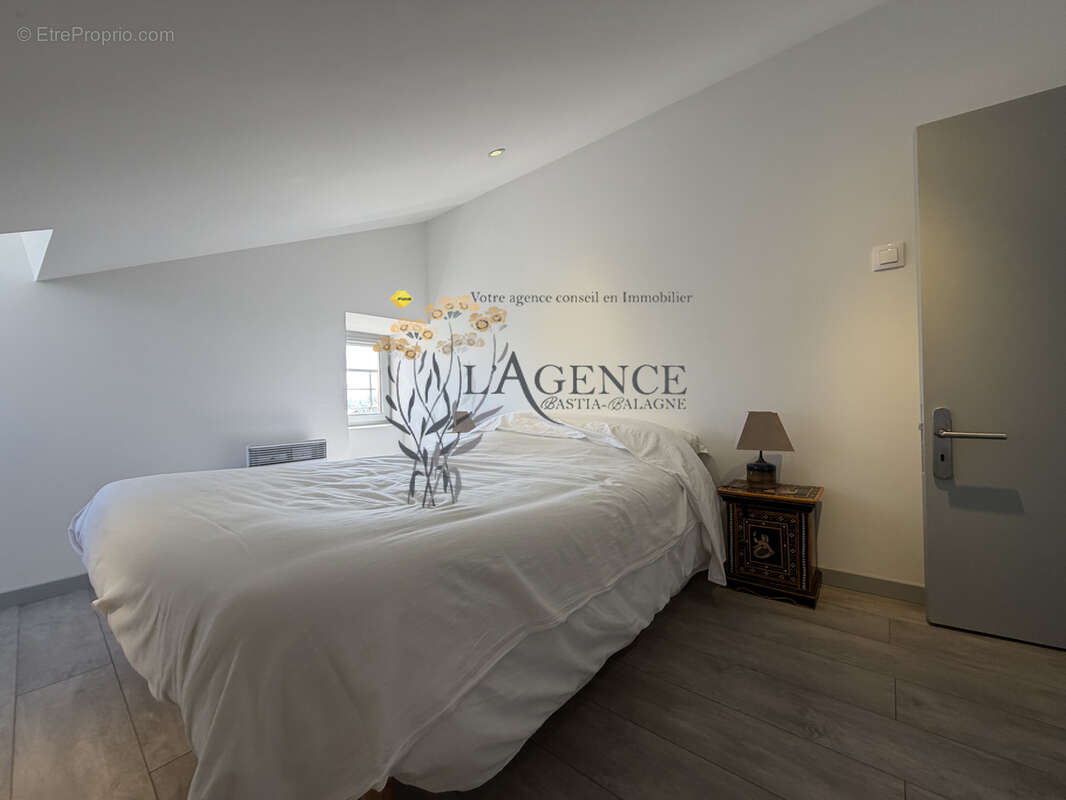Appartement à SAN-MARTINO-DI-LOTA