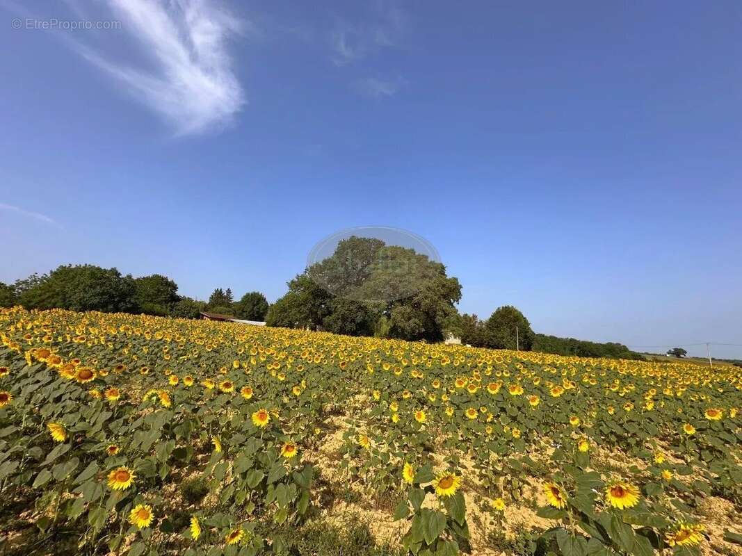 Maison à SAINTE-DODE