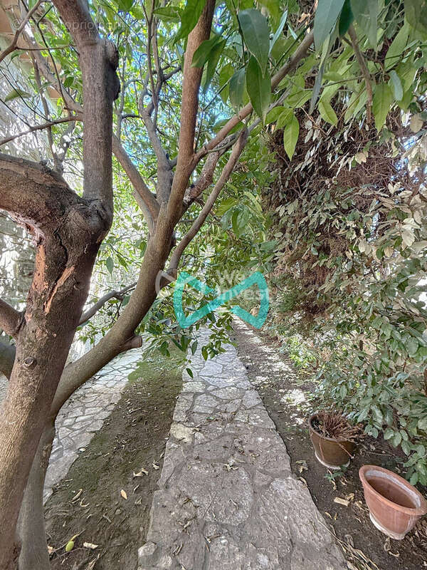 Maison à MONTPELLIER