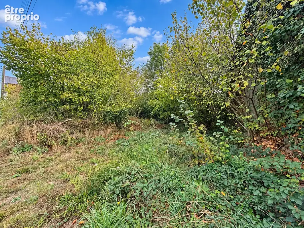HAUTE-VIENNE ? Fabuleux projet de rénovation à prix exceptionnel - photo 3