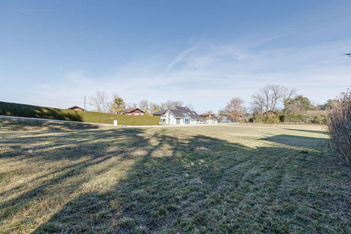 Terrain à EXCENEVEX