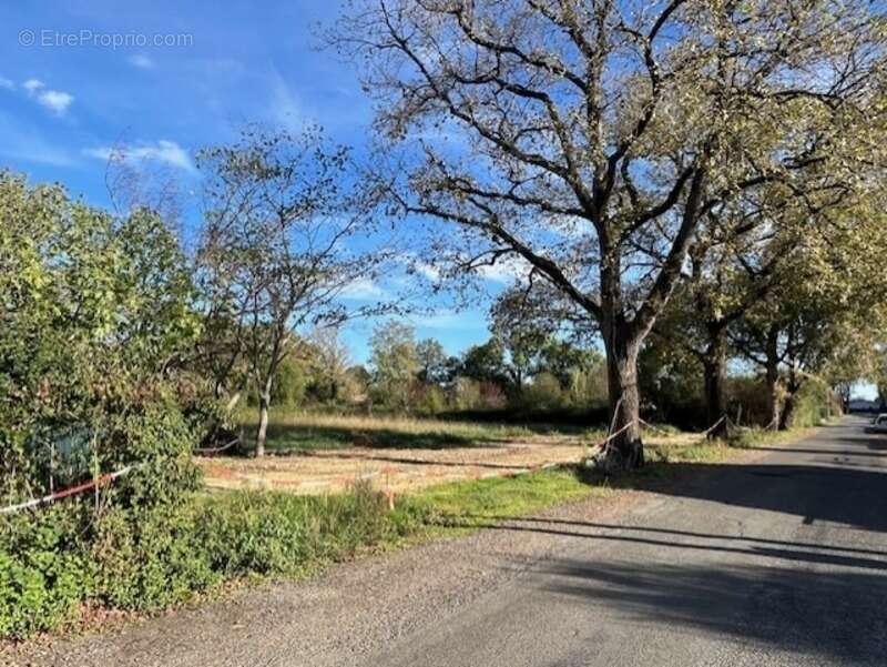 Terrain à PLAISANCE
