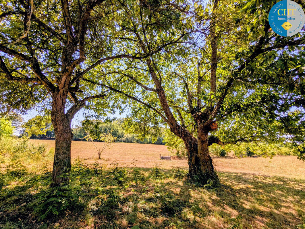 Charme et Authenticité : Longère en pierres sur vaste terrain à Monteneuf (56380) - photo 24
