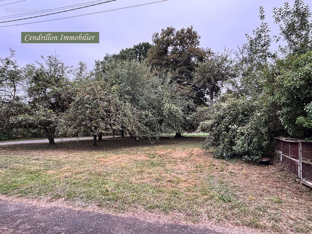 Maison à SAINT-PRIEST-PALUS