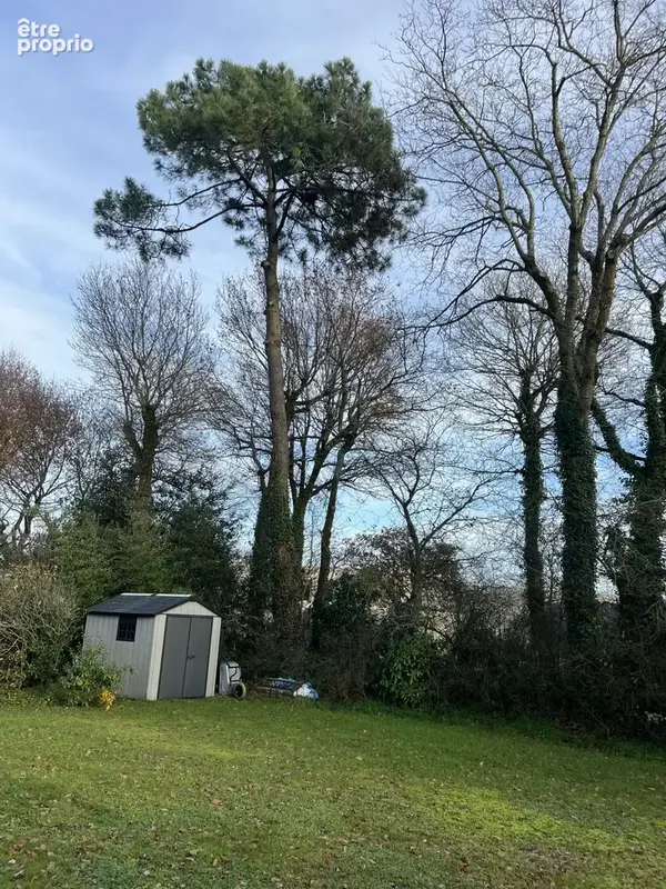 Maison 6 pièces 106 m² à vendre à Ploeren (56880) - photo 7