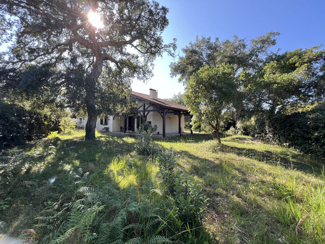 Maison à MOLIETS-ET-MAA