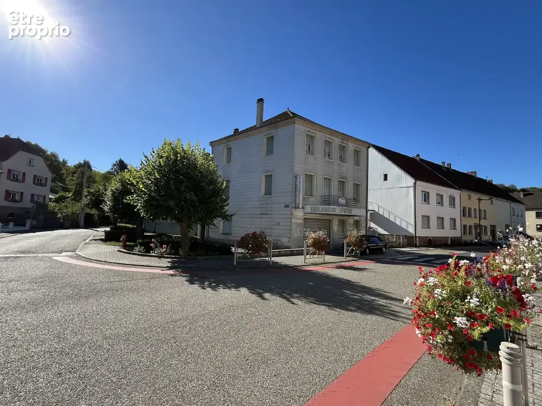 Appartement 9 pièces 300 m² à vendre à Bliesbruck (57200) - photo 1